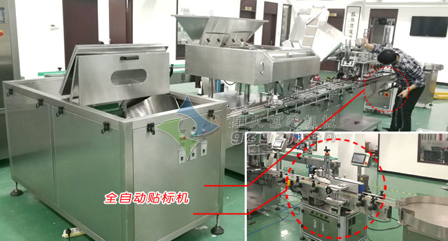 免费P站污污视频APP在生产线的应用